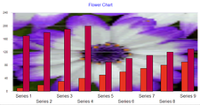 Chart: Picture Backgrounds